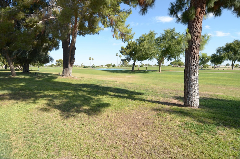 10419 W Pineaire Dr, Sun City, AZ 85351 - photo 1