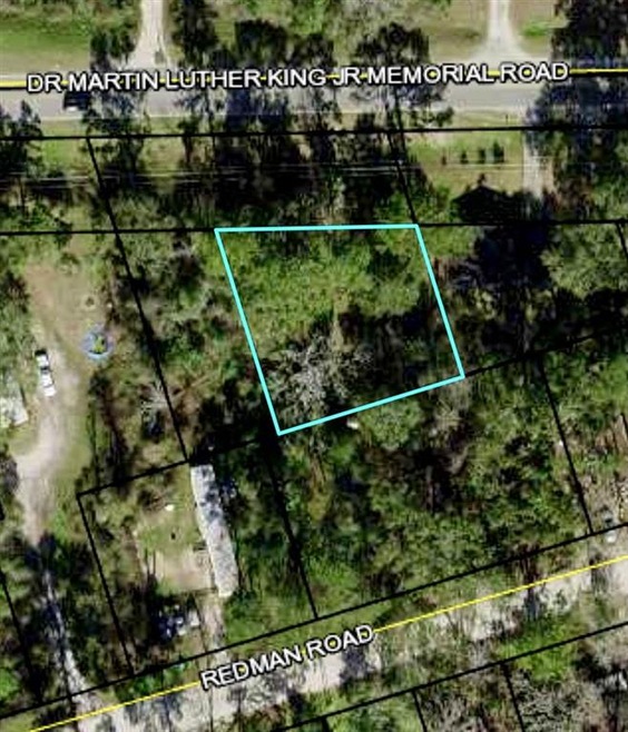 TBD Dr Mlk Memorial Rd, Wakulla County, FL 32327 - photo 1