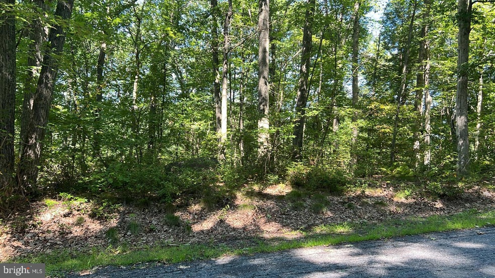 0 Tommys Ct, Drums, PA 18222 - photo 1