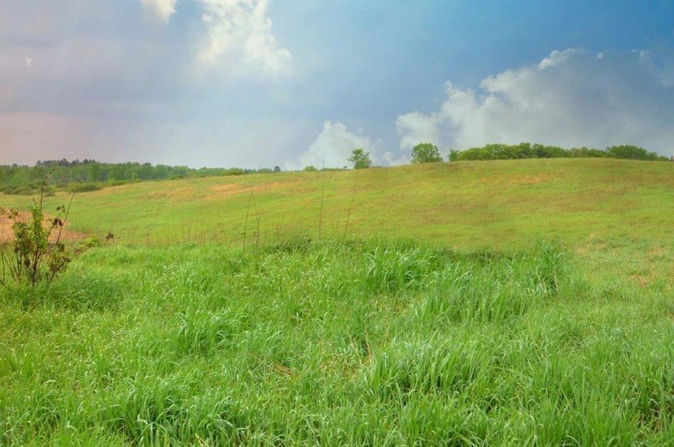 0 Hwy A unit 905101, Webster, WI 54893 - photo 1