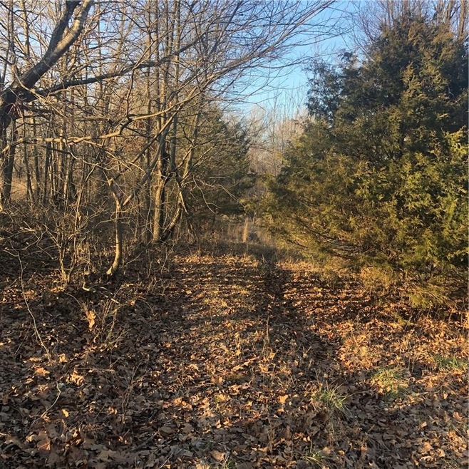 14259 Lott Rd, Elm Springs, AR 72762 - photo 1