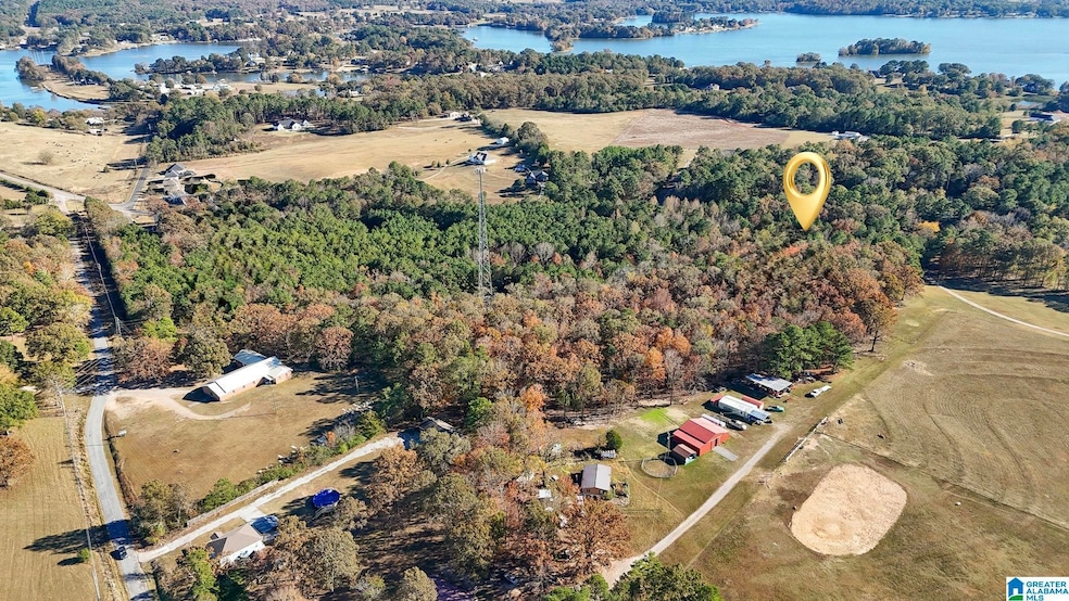 0 Eureka Rd unit 21437192, Lincoln, AL 35096 - photo 1