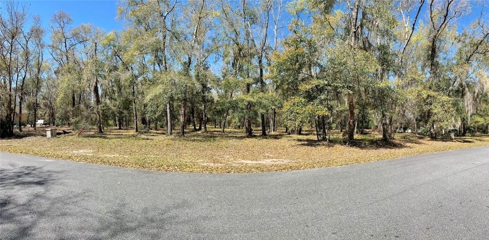 Road frontage for Lot 27 on Tolomato Island