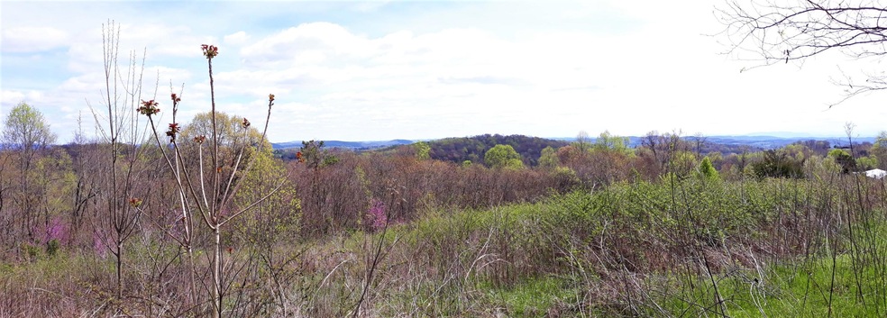 0 0 Maples Hollow Rd unit 1114351, Blaine, TN 37709 - photo 1