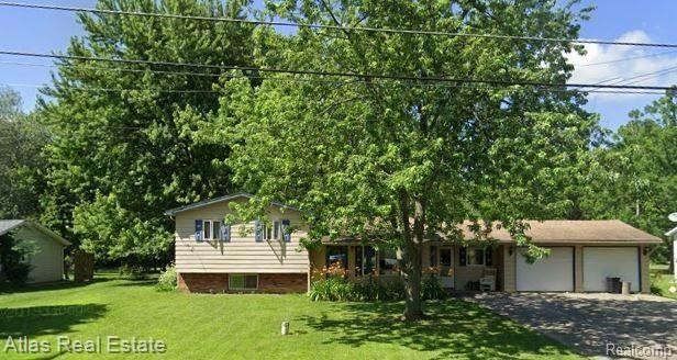 6221 Finch.JPG