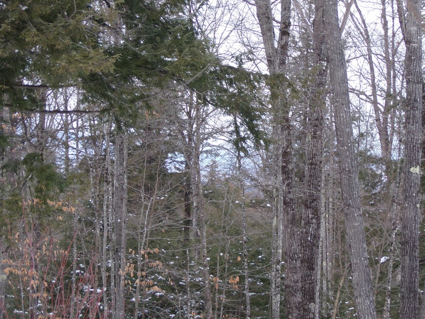 fryeburg20205