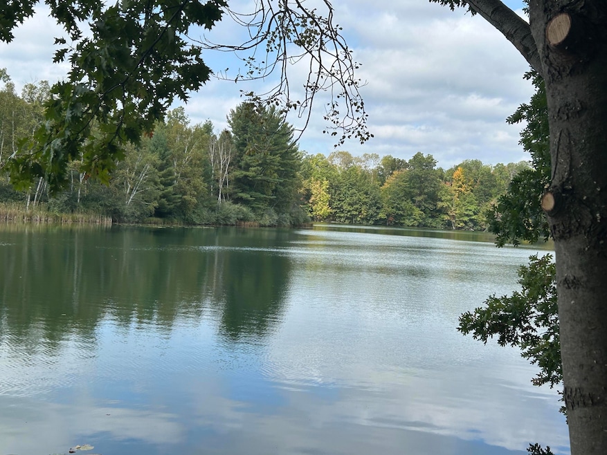 8601 N Island Dr unit 41, Canadian Lakes, MI 49346 - photo 1