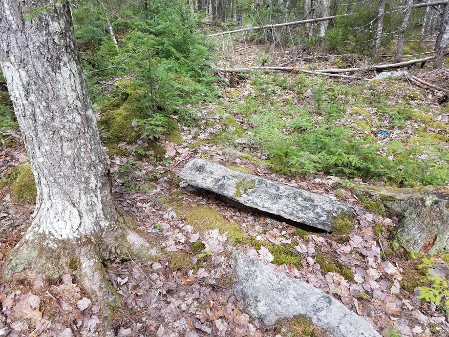 20170425_091723
