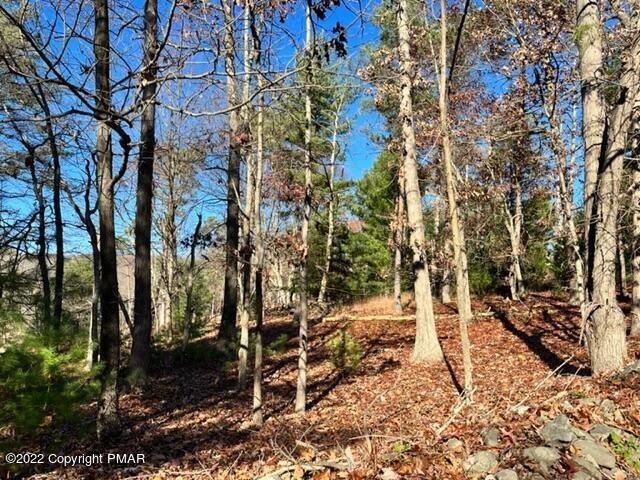 0 Brookside Ct unit PM-84716, Stroudsburg, PA 18360 - photo 1