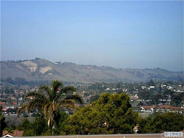 Beautiful Capistrano Valley View!