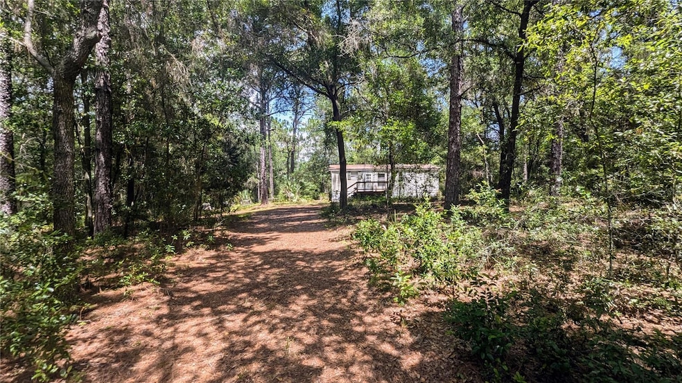 20 E Katie St, Hernando, FL 34442 - photo 1