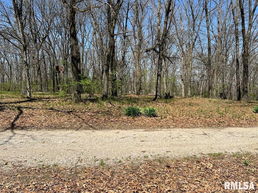 7 Flax Rd, Macomb, IL 61455 - photo 1