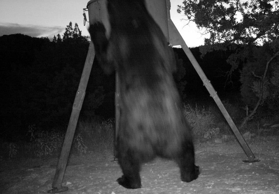 unlisted-address, Rocksprings, TX 78880 - photo 1