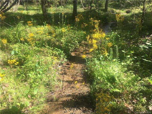 Flowing creek