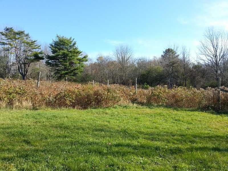 Land/Lot. Beautiful, open, sunny...