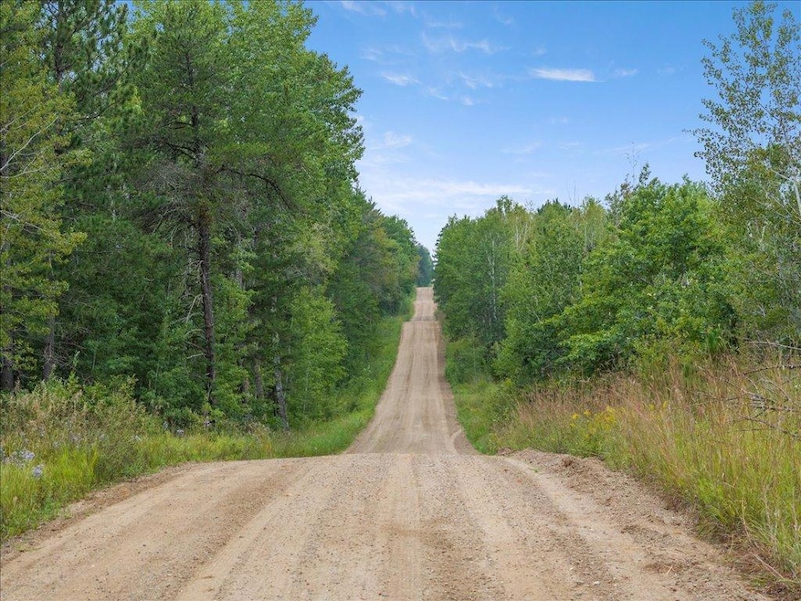 TBD 290th St, Two Inlets Township, MN 56470 - photo 1