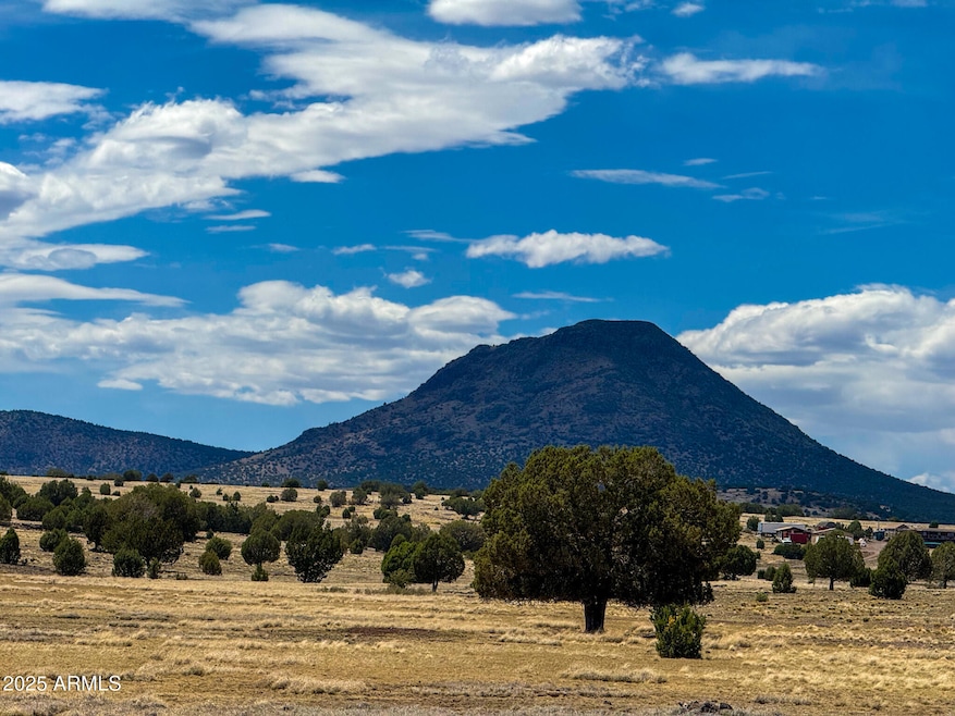 0 W True Grit Trail Lot A -- unit 6880737, Ash Fork, AZ 86320 - photo 1