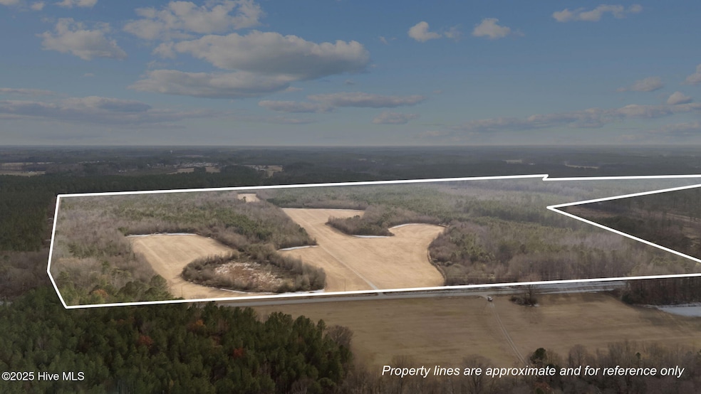 Tbd Wollett Mill Rd, Battleboro, NC 27809 - photo 1