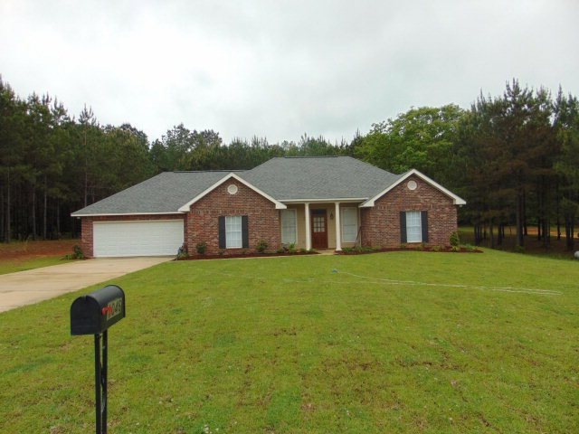 Main View