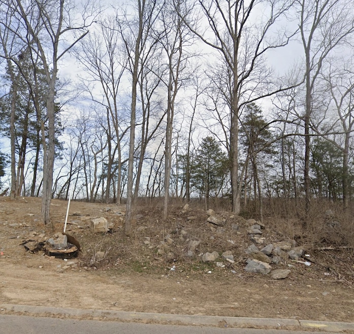 370 Rio Vista Dr, Nashville, TN 37115 - photo 1