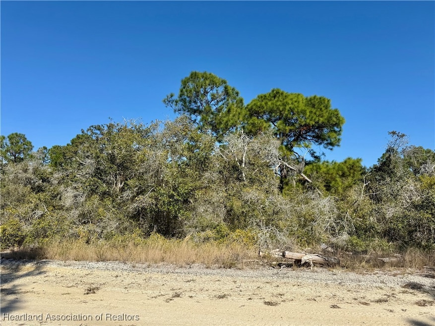 404 Sunshine Ave, Lake Placid, FL 33852 - photo 1