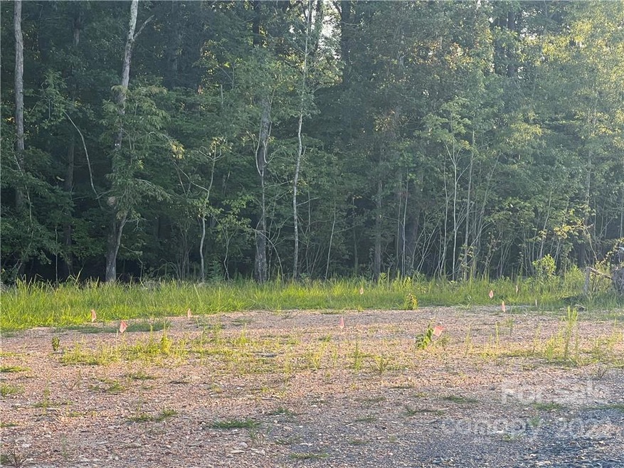 0 Rising View Way unit CAR3898060, Asheboro, NC 27205 - photo 1