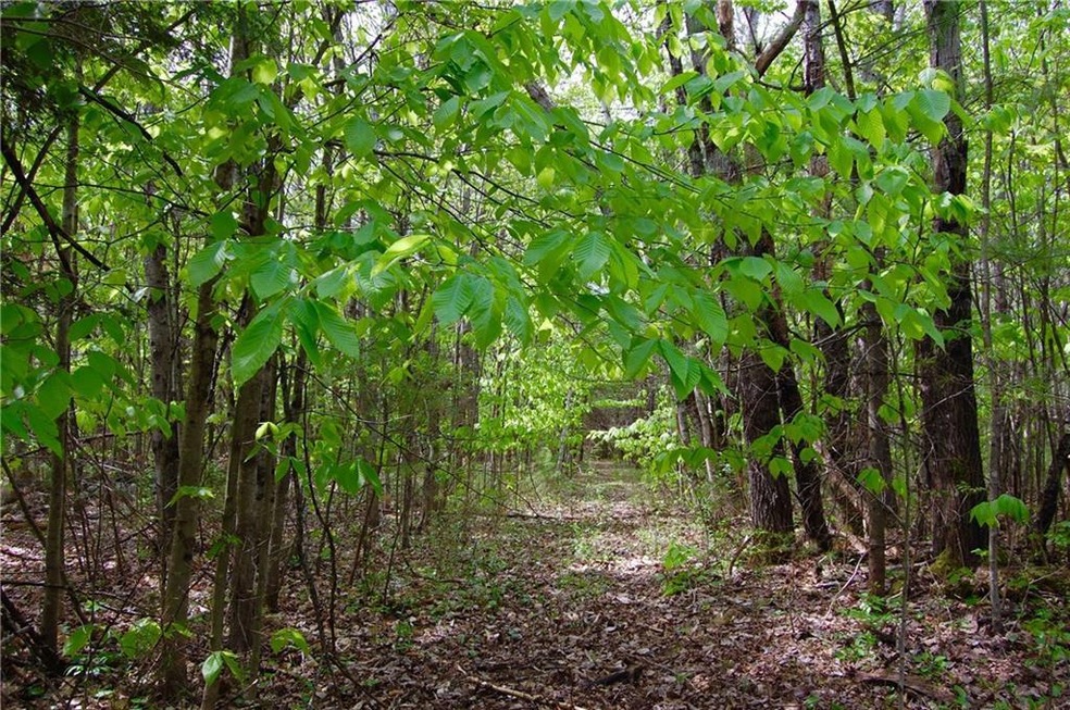 Lot 59 is a pristine, level and...