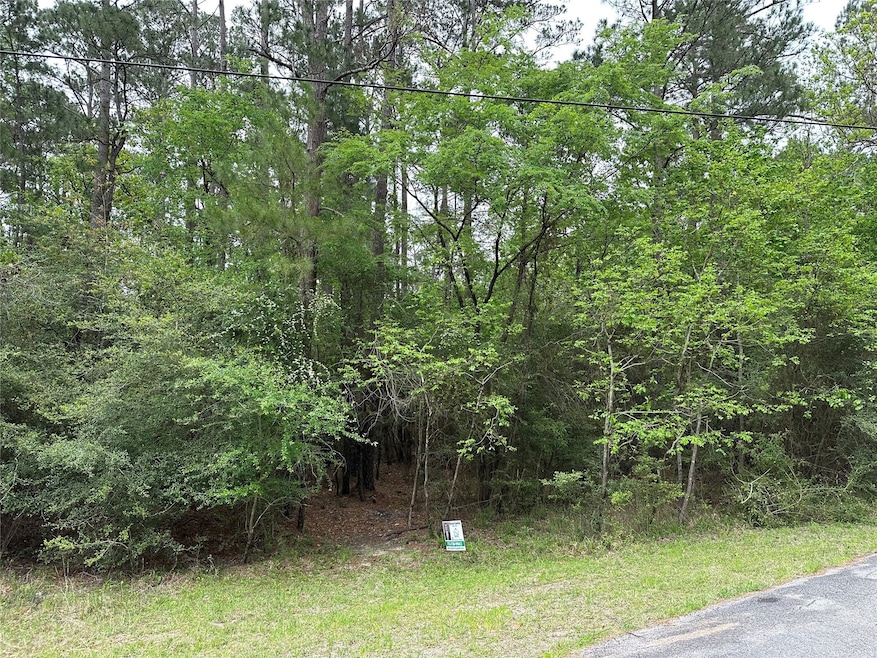 Lot 89 Wildwood Harbor Cir, Onalaska, TX 77360 MLS 6225345