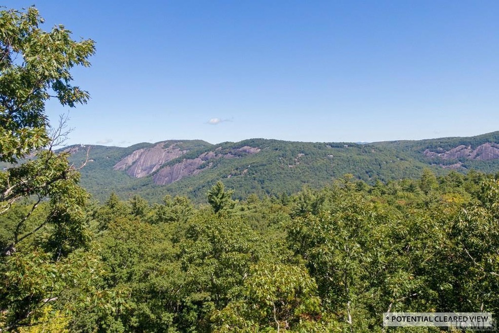 Lot 31 E Ridge Rd, Cashiers, NC 28717 - photo 1