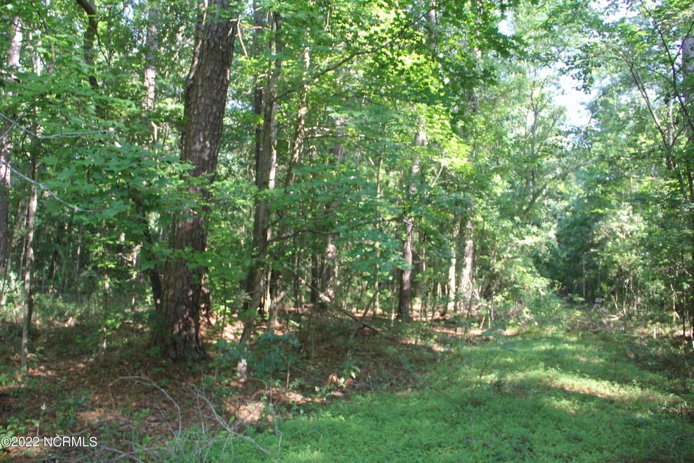 0 E Wilmington Street Extension unit 100339681, Burgaw, NC 28425 - photo 1