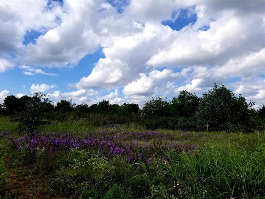 175 County Road 4195, Decatur, TX 76234 - photo 1