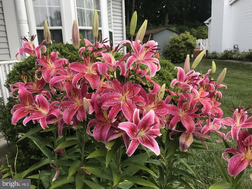 9263 Harvest Rush Rd, Owings Mills, MD 21117 - photo 1