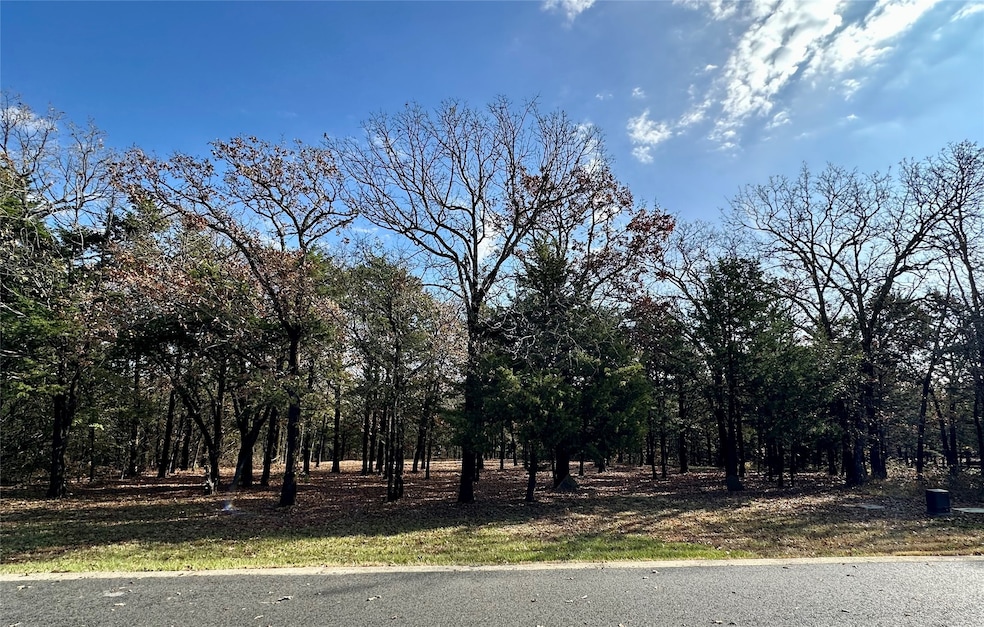 34D Dove Canyon Dr, Gordonville, TX 76245 - photo 1