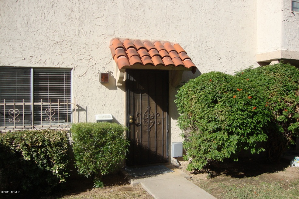 Front View