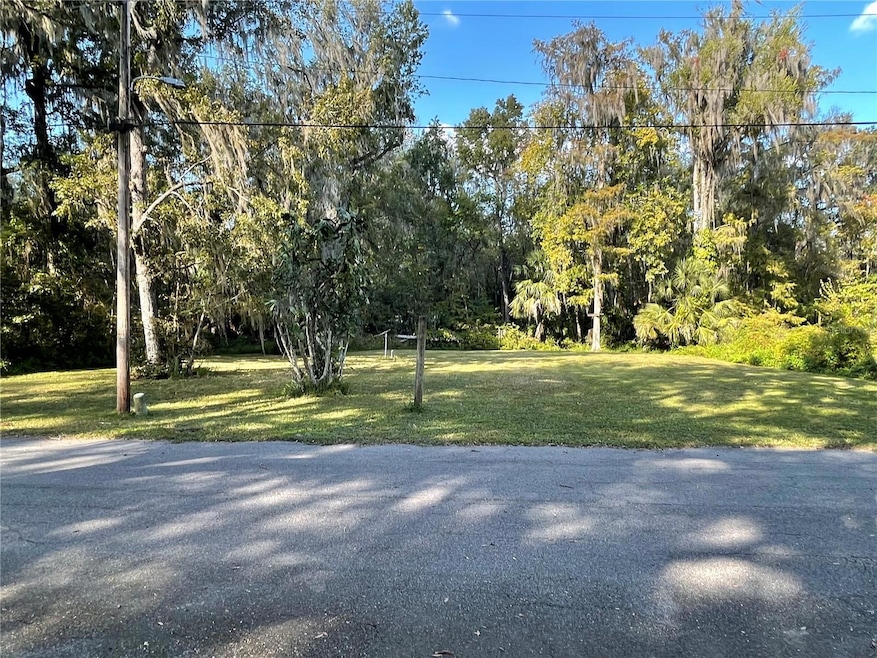 3785 Cr 405n, Lake Panasoffkee, FL 33538 - photo 1