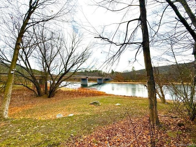 8 River Rd, Barryville, NY 12719 - photo 1