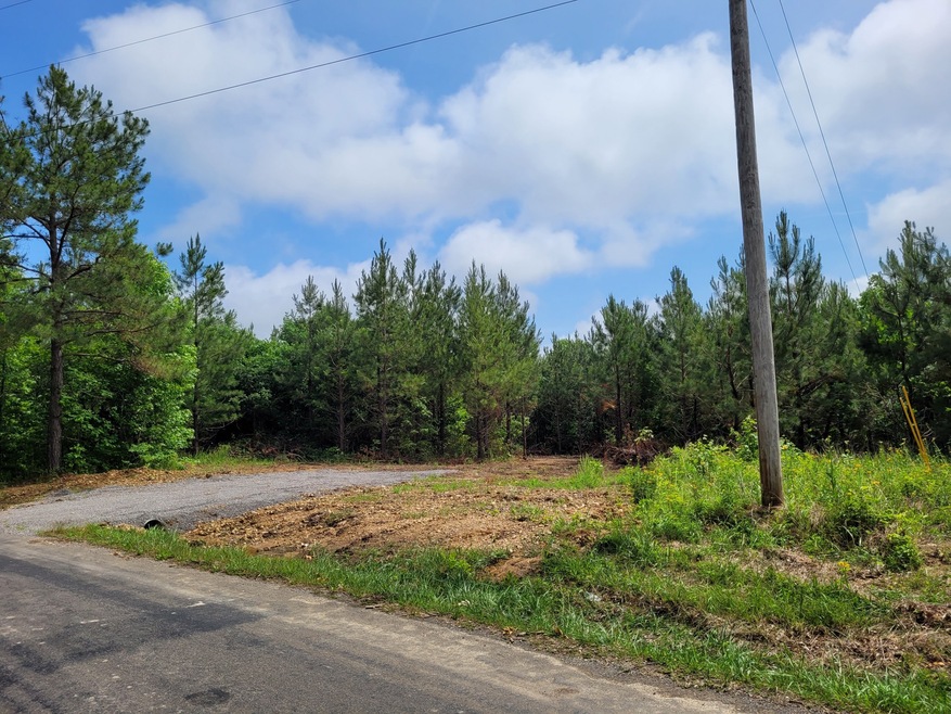 0 Freeman Fielder Rd unit RTC2367644, Stewart, TN 37175 - photo 1