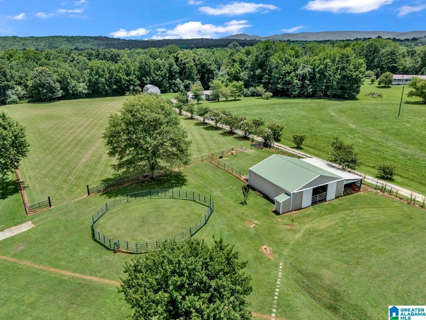 0 Mize Rd unit 13 21425556, Remlap, AL 35133 - photo 1