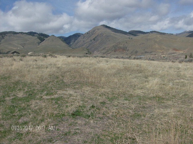 Main View