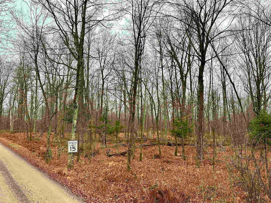 Lot 61 Chip n Dale Dr, Pickerel, WI 54465 - photo 1