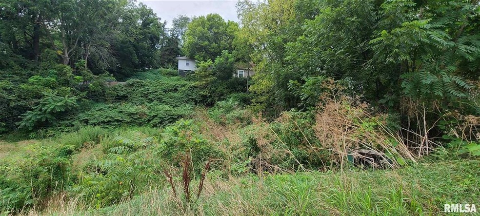 0 Christie unit QC4225107, Davenport, IA 52803 - photo 1