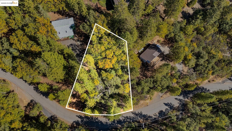 View of property location featuring property parcel outlined and a heavily wooded area