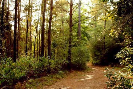 0 Ernest A Thompson Rd, Summit, MS 39666 - photo 1