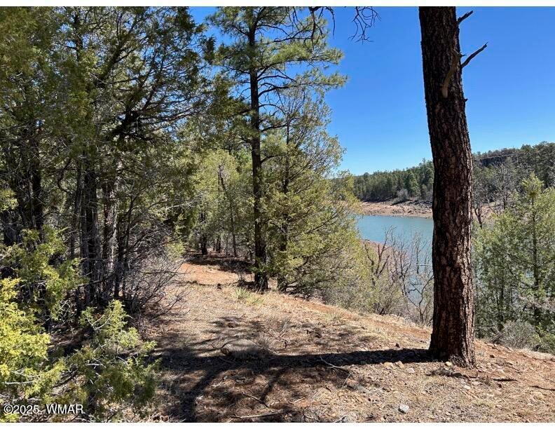 0 Show Low Lake Rd, Show Low, AZ 85901 - photo 1