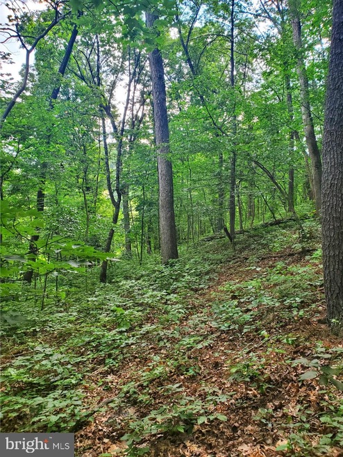 0 Ridgeley Rd unit VASH2000328, Woodstock, VA 22664 - photo 1