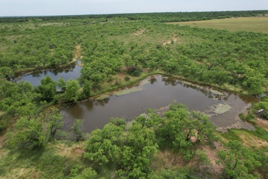 TBD Farm To Market Road 600, Anson, TX 79501 - photo 1