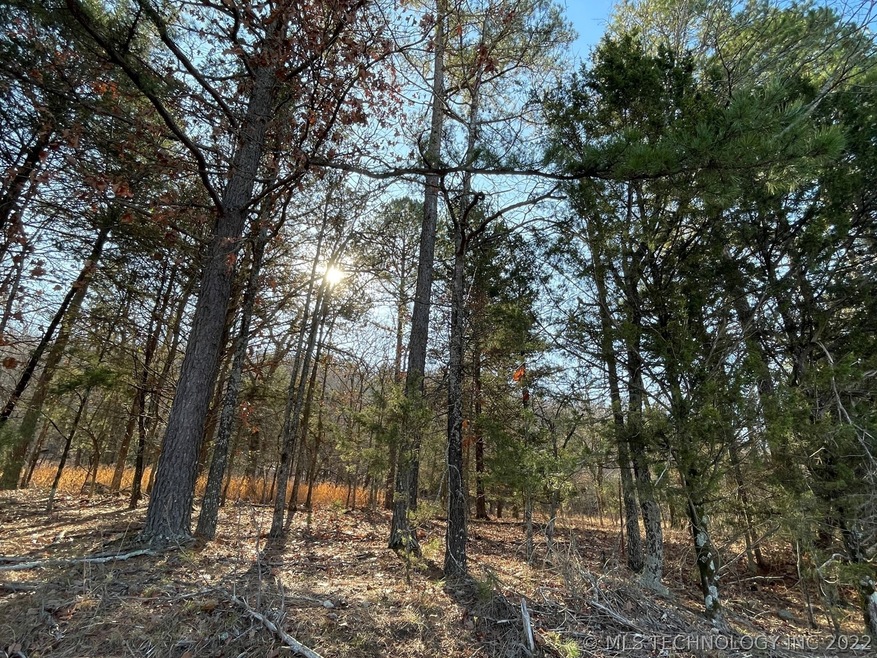 329 Bailey Blvd, Tahlequah, OK 74464 - photo 1