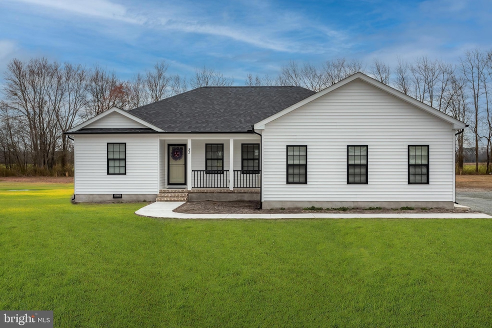 33670 Feather Ln, Dagsboro, DE 19939 - photo 1