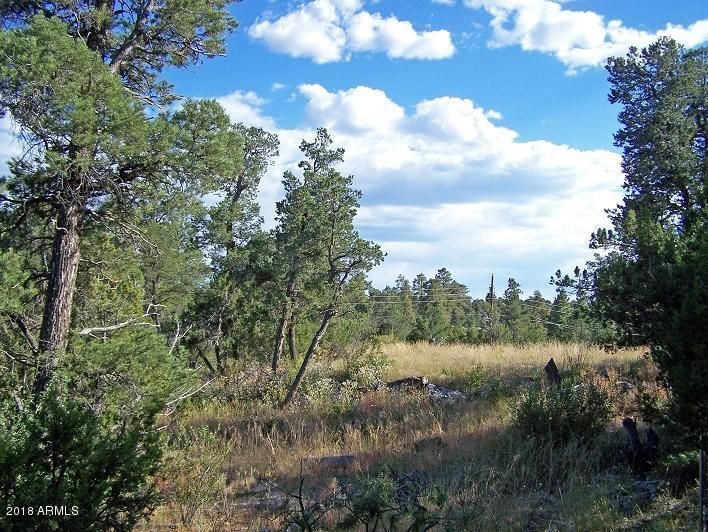 3117-21-25 Ranch-1