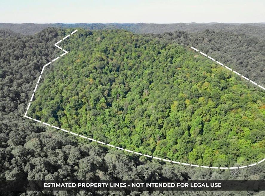 unlisted-address, Jacksonburg, WV 26377 - photo 1